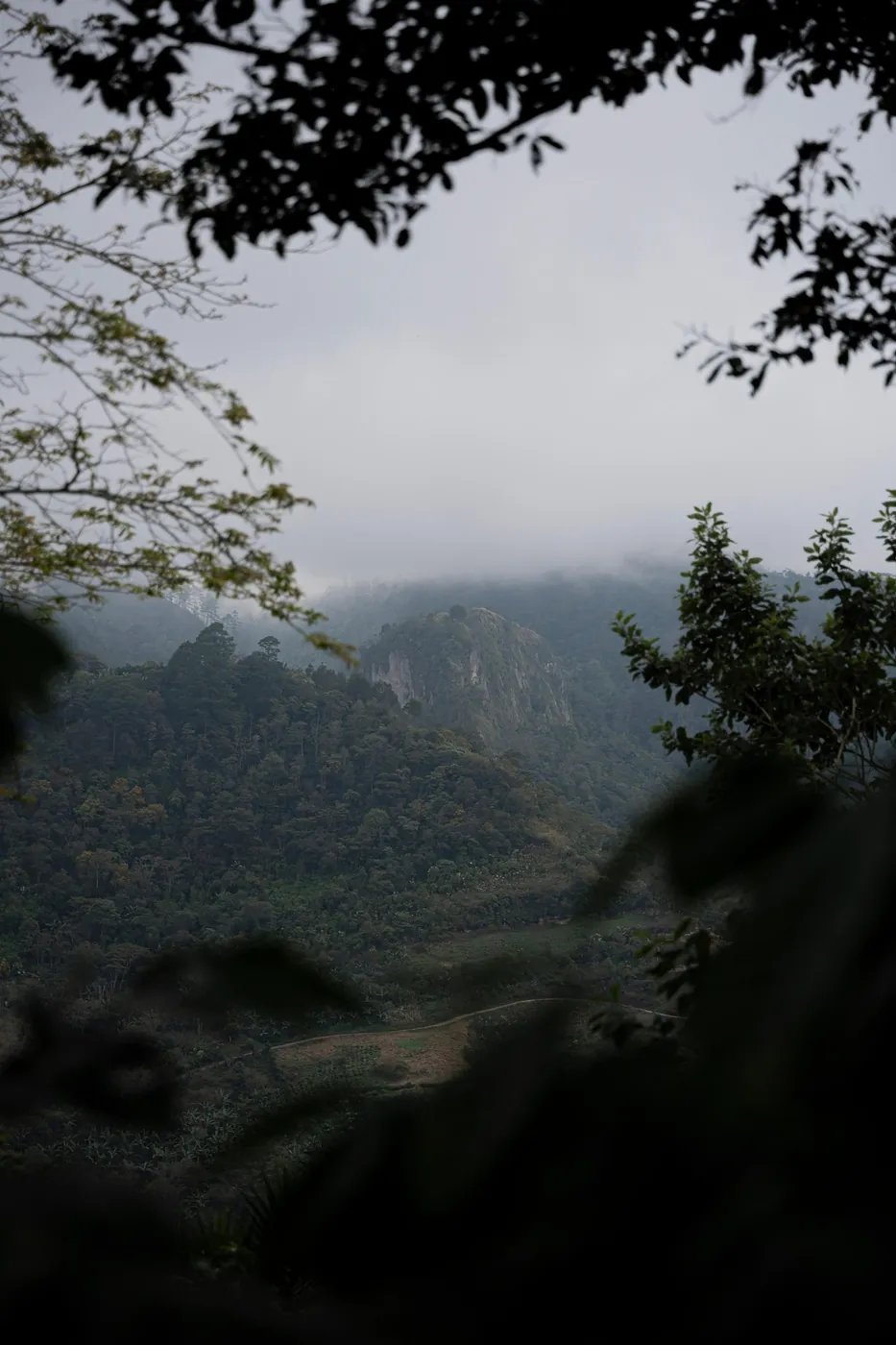 Finca Deborah