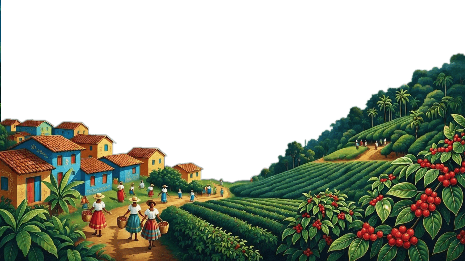 Village and coffee plants