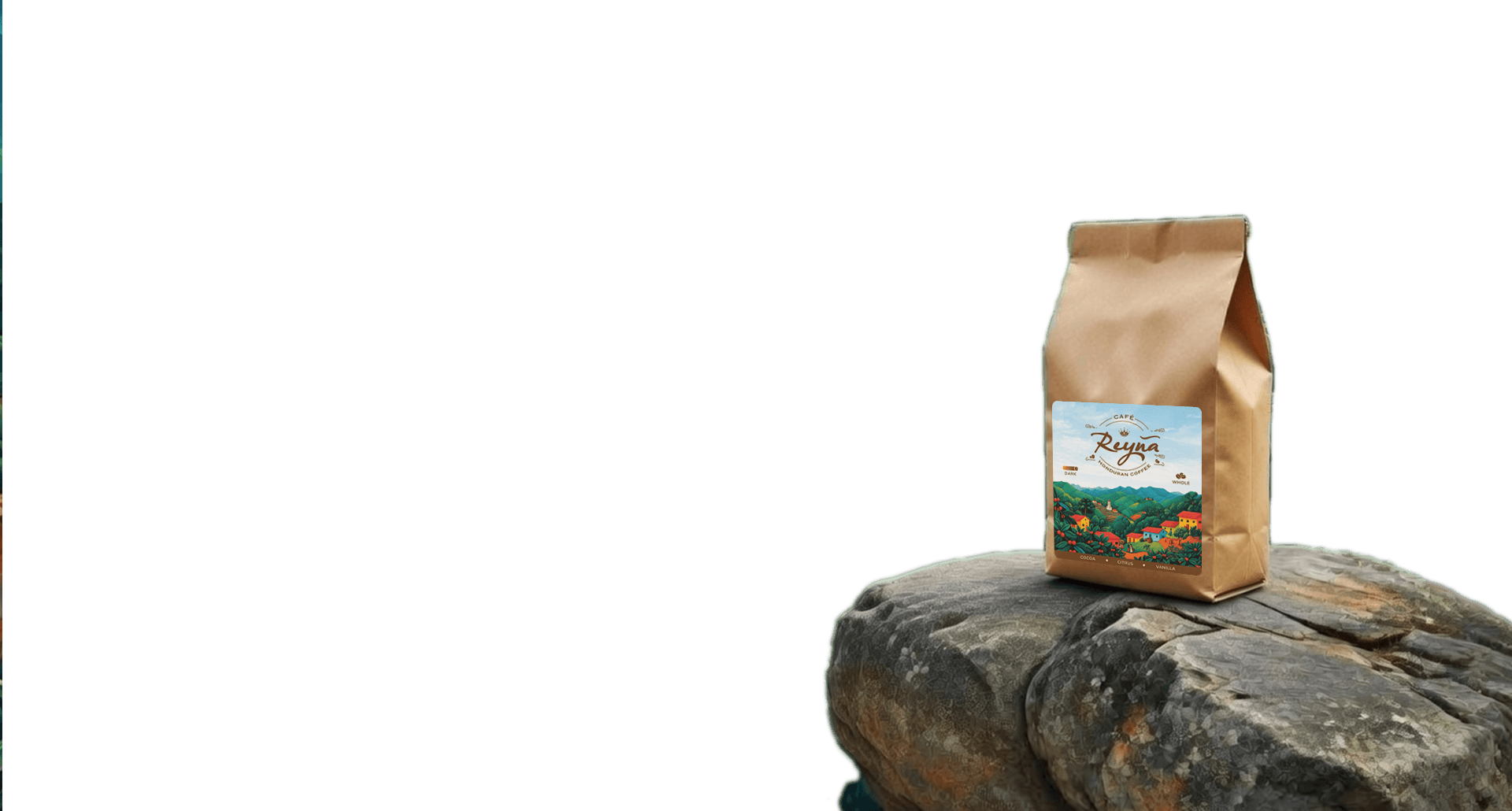 Front coffee plants and rocks